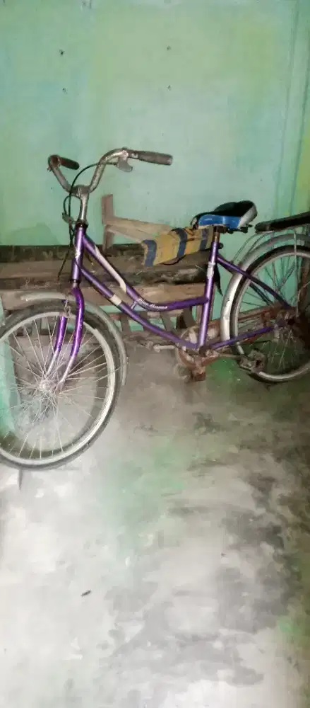 Sepeda Anak perempuan