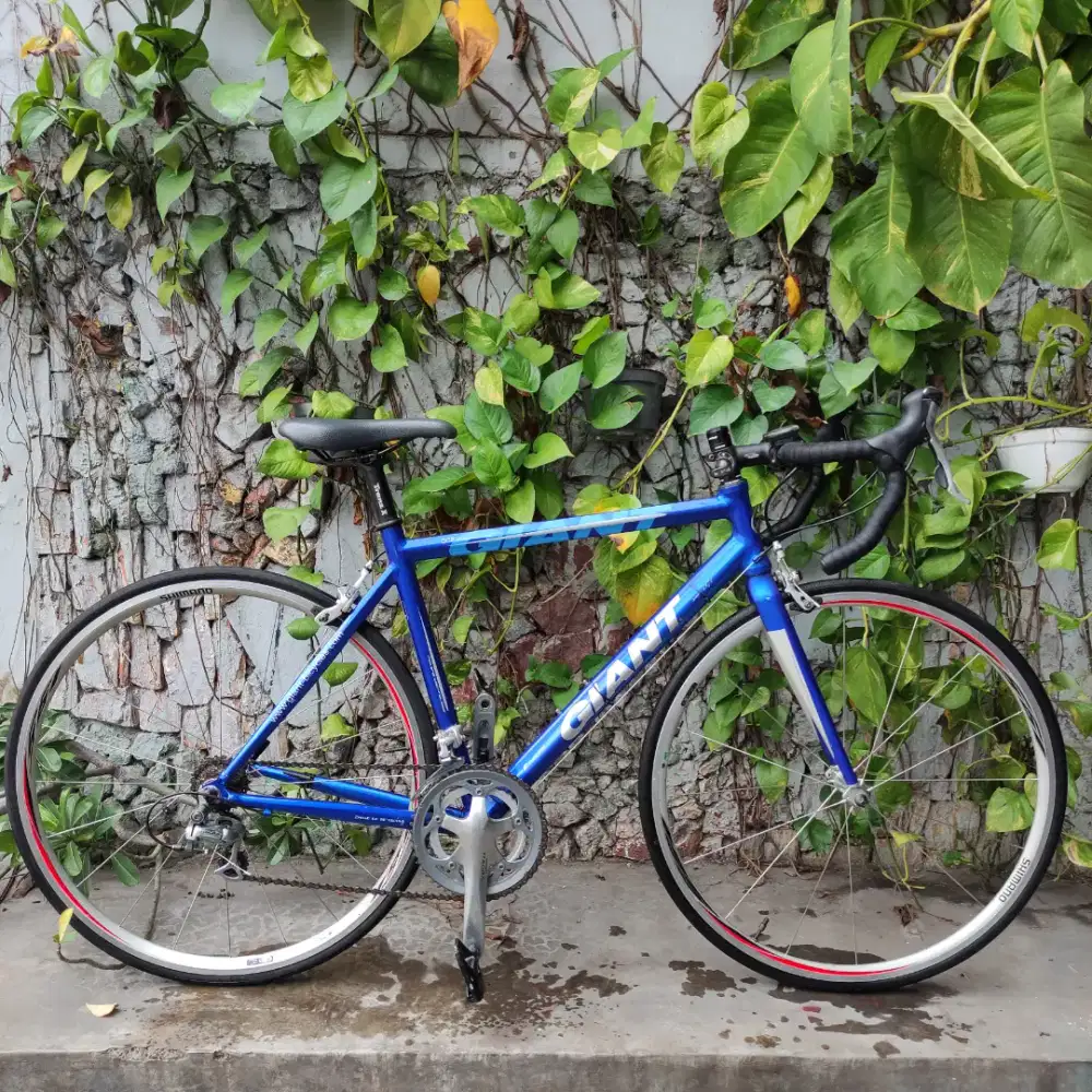 Road bike giant ocr original compact since 1972 asli langkah