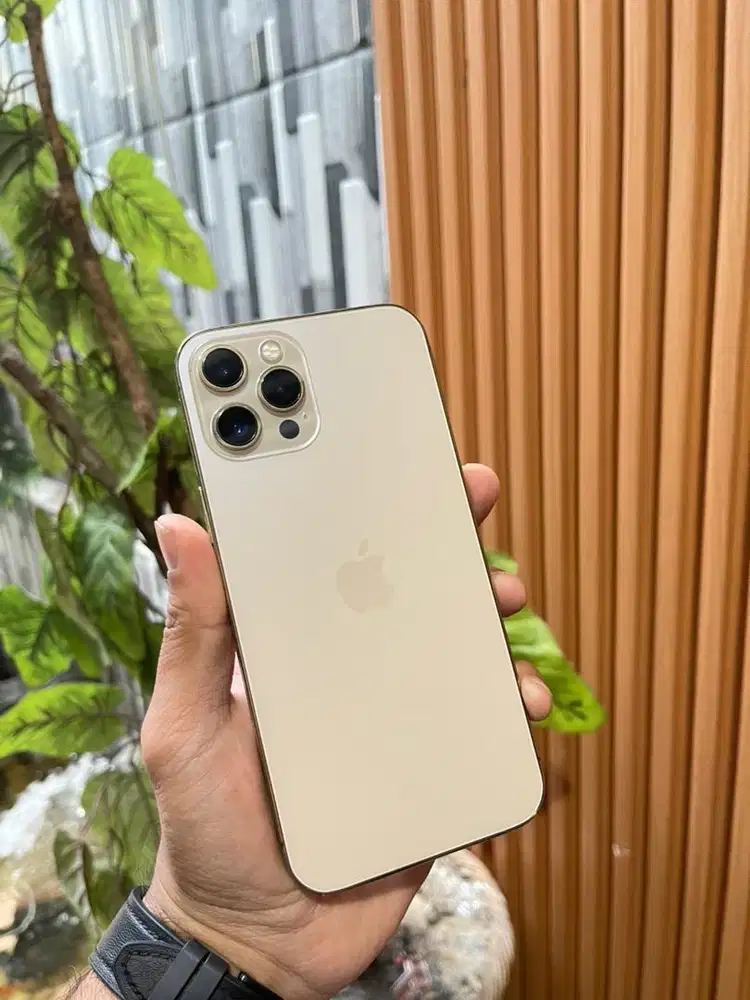 iphone 12 pro max 256gb fullset