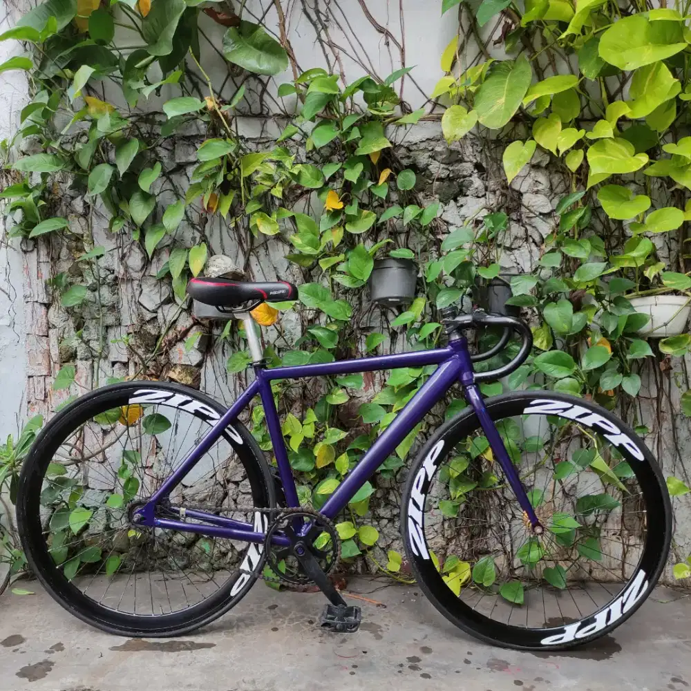 Sepeda fixie united evolution