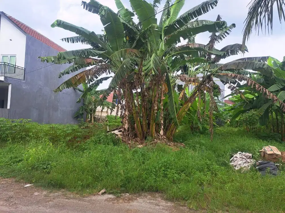 Dijual Tanah SHM 300 m² di Tangerang Selatan – Harga 3,5 Jt/m²