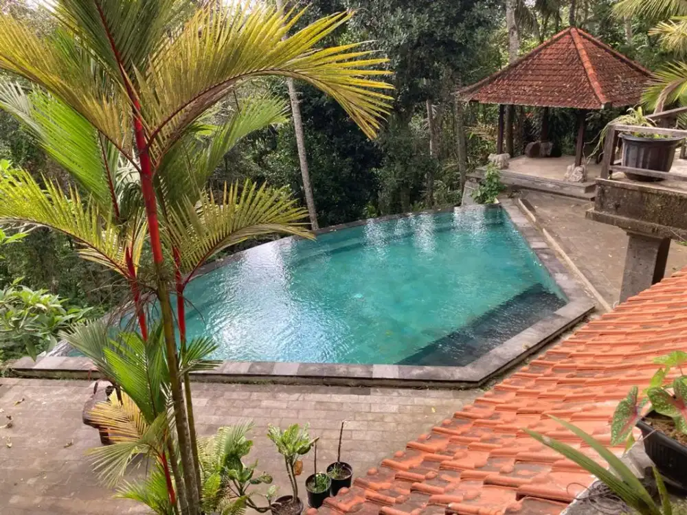 Dijual Cepat   Villa Murah Hitung Tanah  Villa Amanda Ubud - Bali