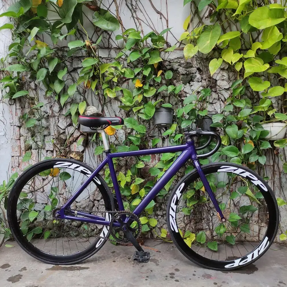 Sepeda fixie united evolution mantap
