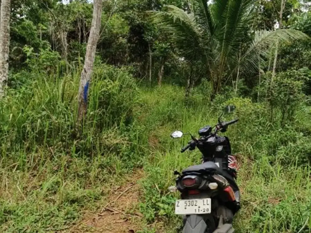 Dijual Cepat Tanah Kebun Cocok Untuk Usaha Lokasi Dikota Tasikmalaya