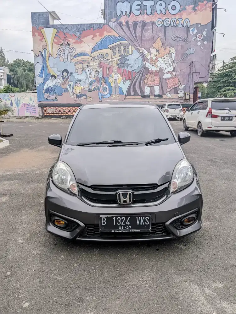 BRIO E SATYA MANUAL 2017