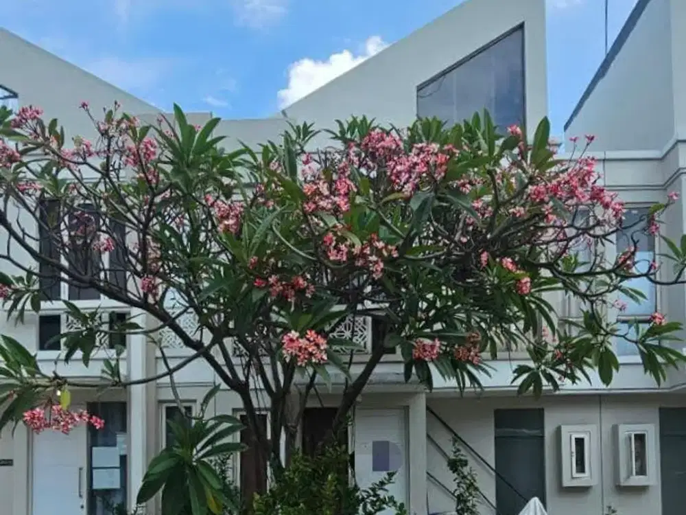 JUAL RUMAH GRAND PAKUWON SURABAYA , HARGA UNDERMARKET .