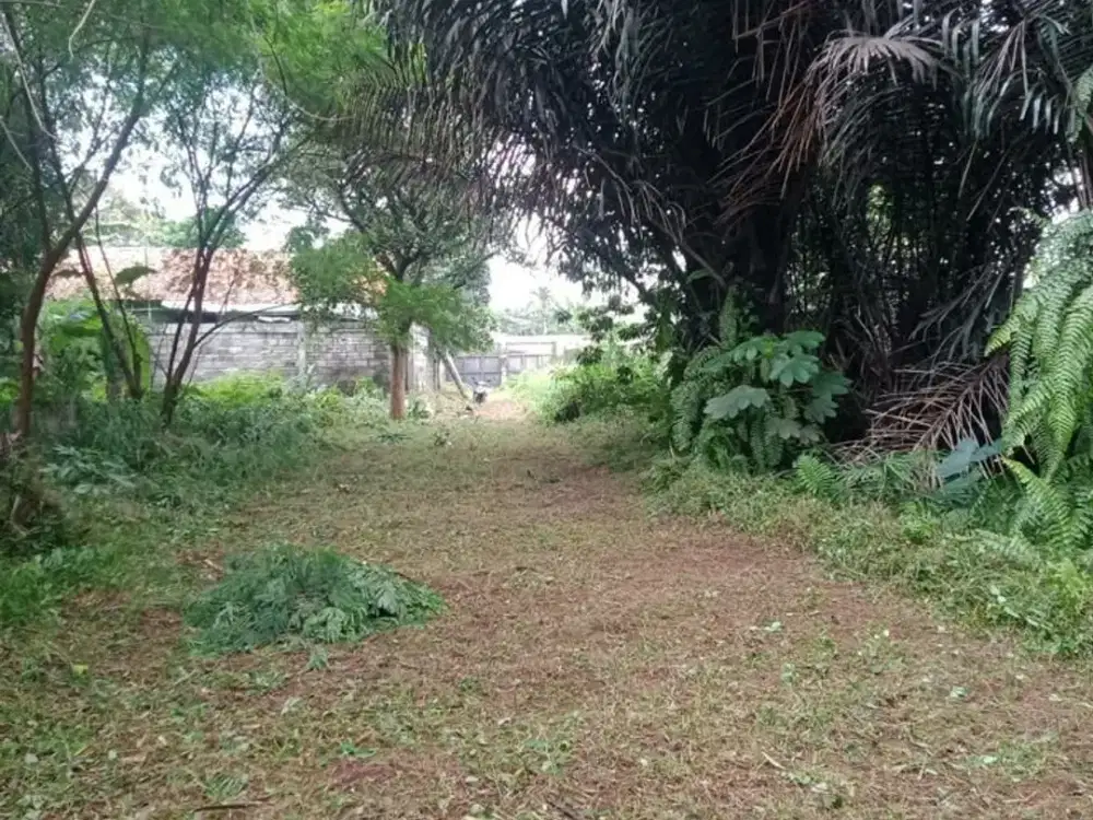 Gunung Putri Dijual Tanah Siap Bangun Perumahan Dekat Jagorawi Golf Club dan tol Citereup