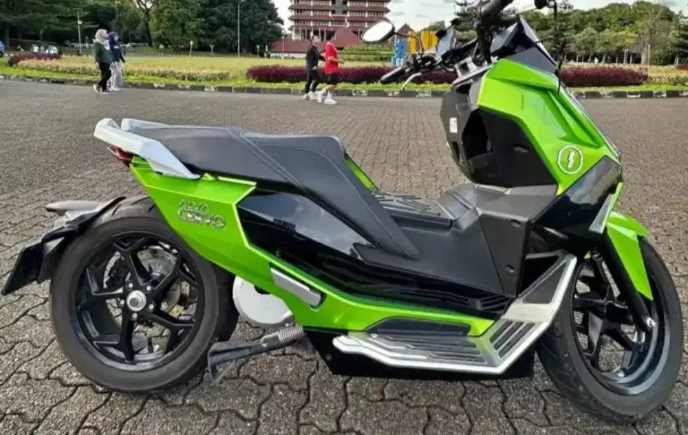 Alva cervo 2023 ahir