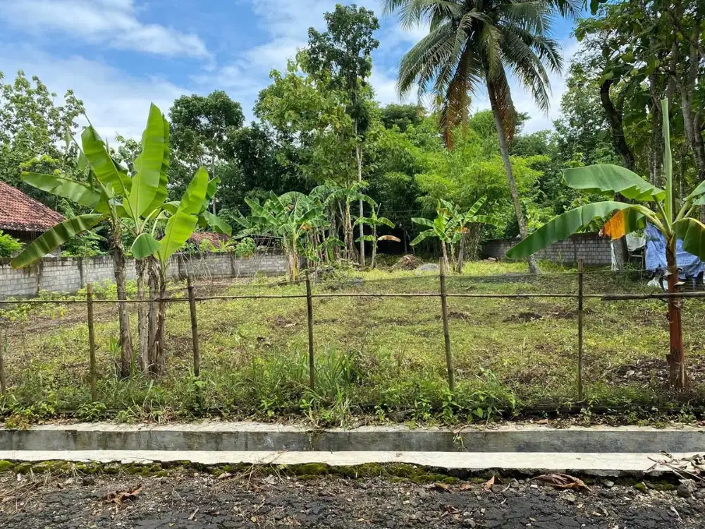 DIJUAL TANAH LUAS, WONOSARI, GUNUNGKIDUL (sudah ada pagar disamping)