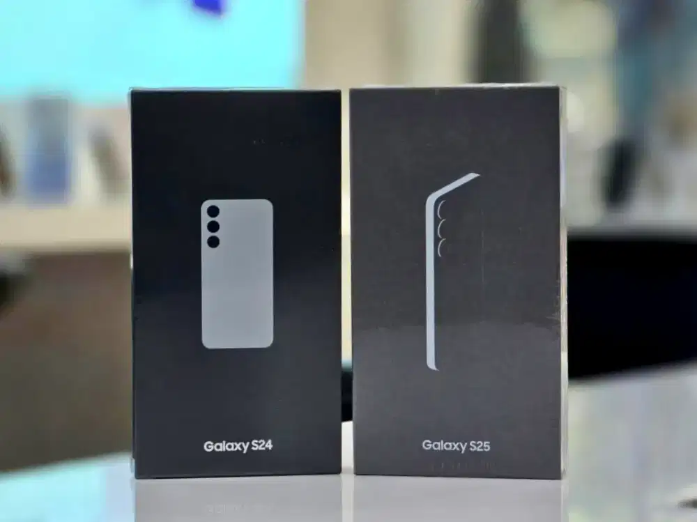 Samsung Galaxy S24 Basic New Segel