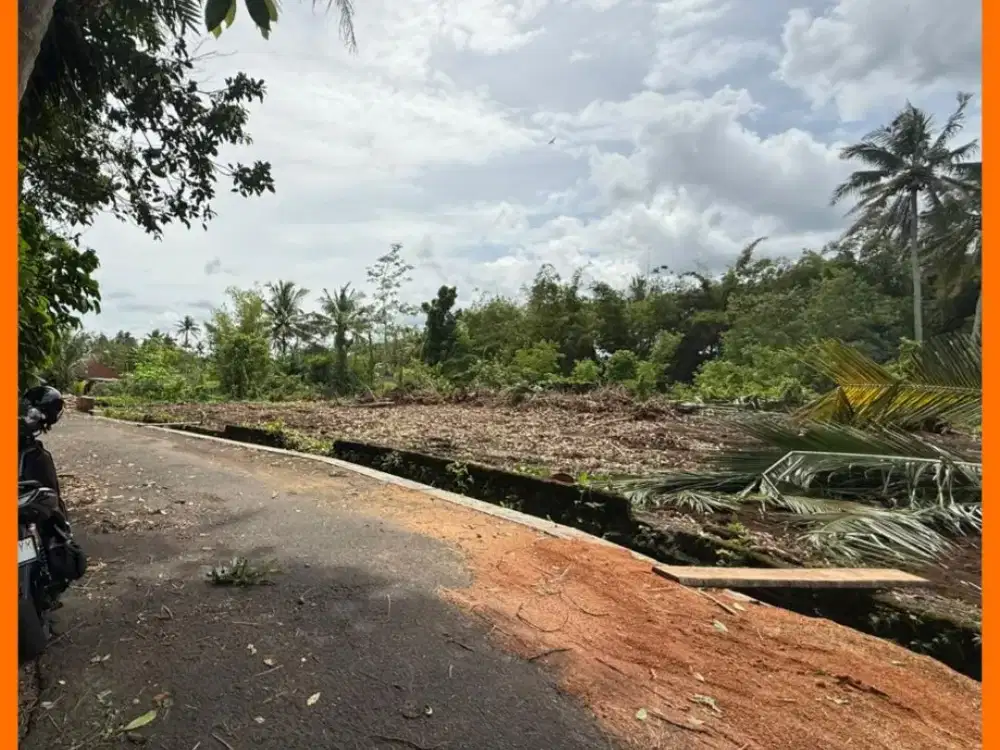 Tanah Jogja Area Barat Jl Palagan km14 2jt/mtr Nego