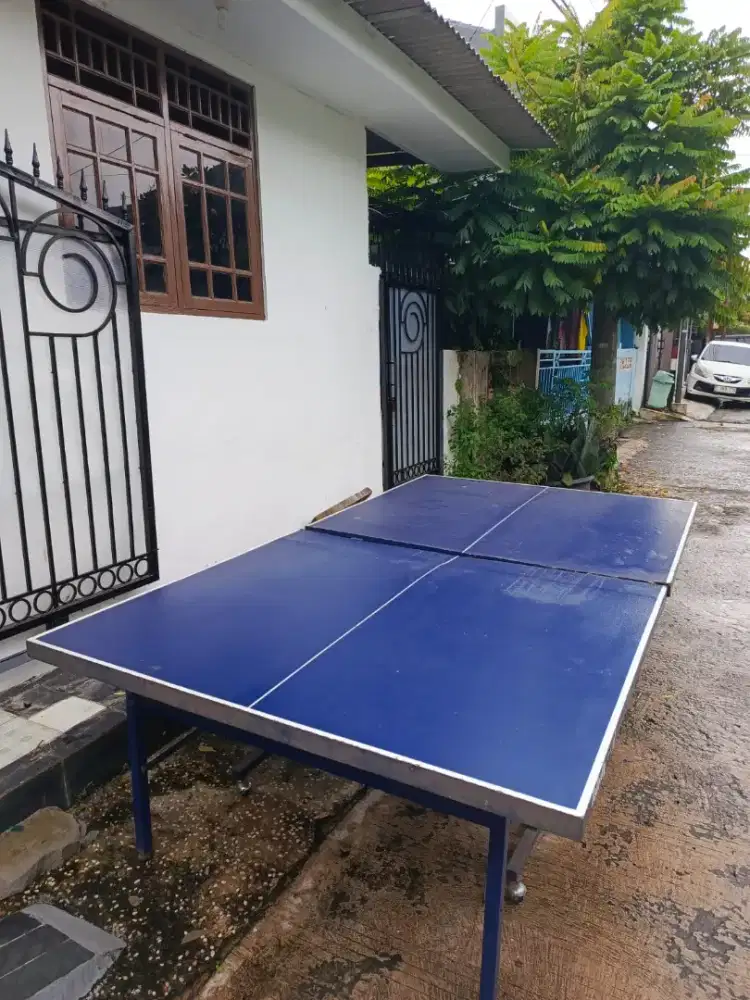 Tenis Meja Tanpa Aksesoris butterfly