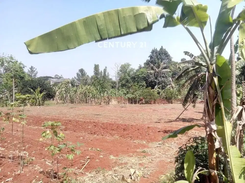 Dijual Murah Kavling Padat Cocok Untuk Cluster Di Bintaro Parigi