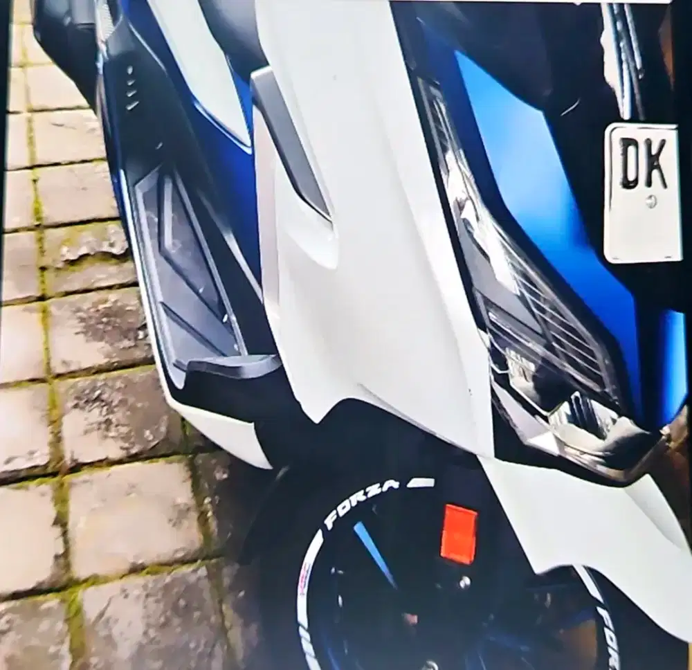 Forza putih biru 250