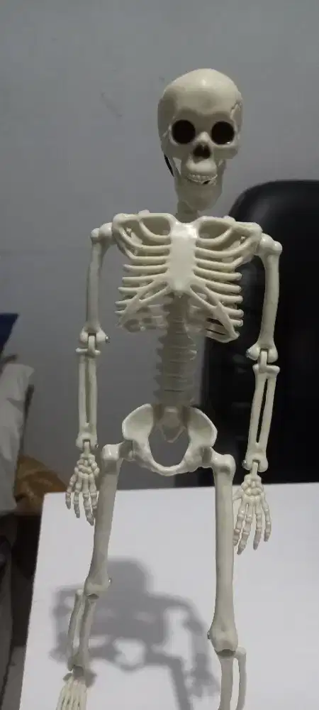 Action pigure tengkorak mainan hiasan