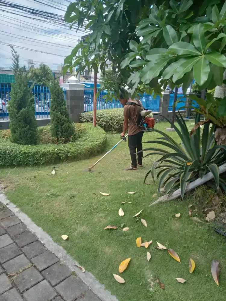 Jasa potong rumput, perawatan, dan pembuatan taman