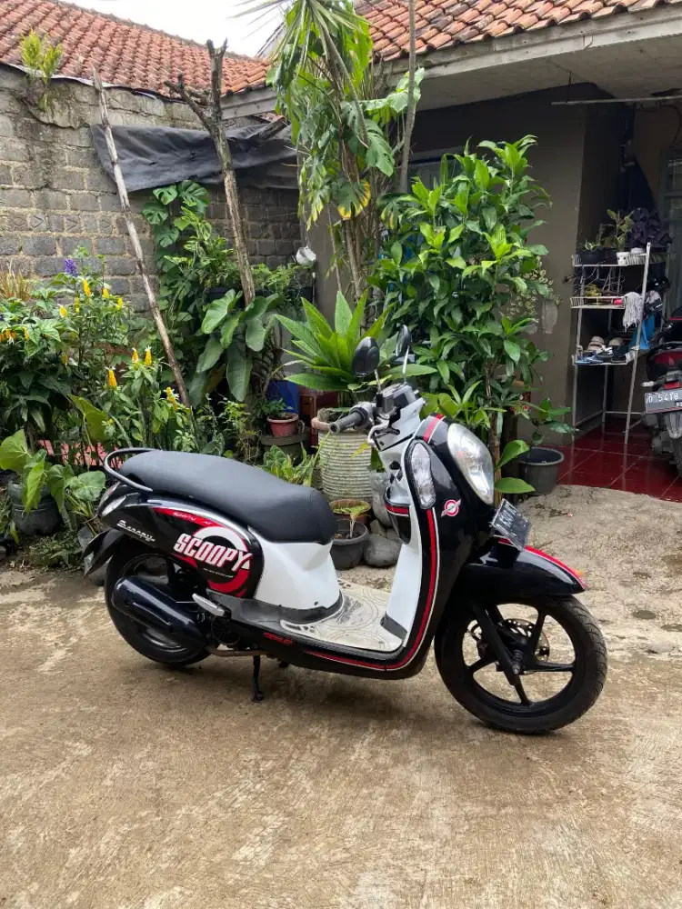 Scoopy 2016 cbs iss mulus