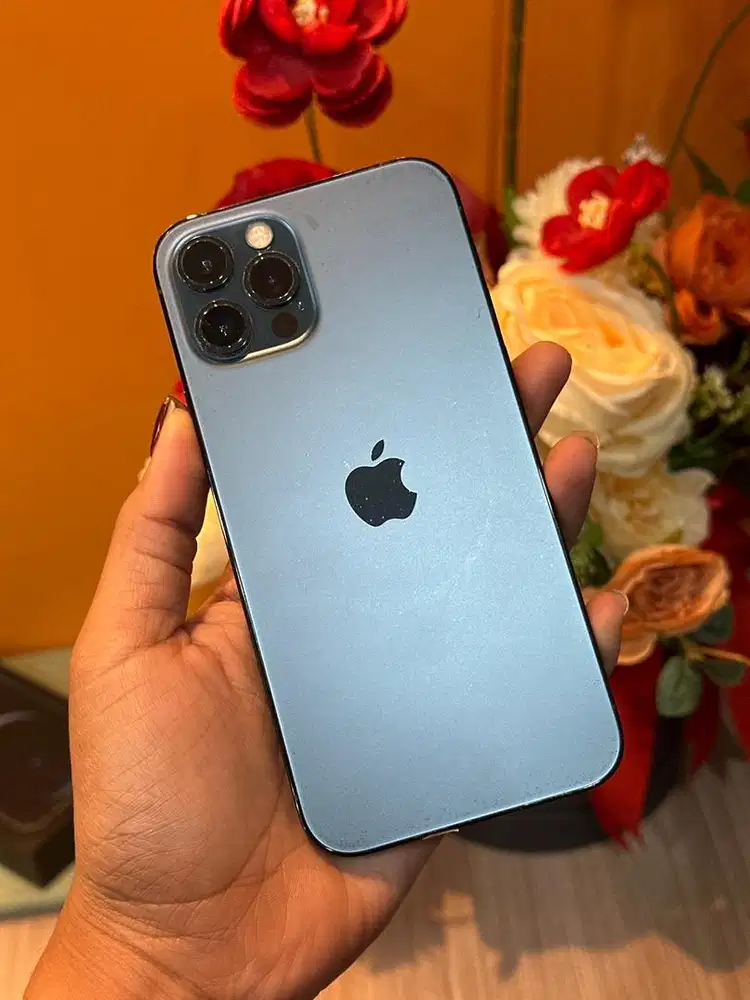 iphone 12 pro 256 beacukai