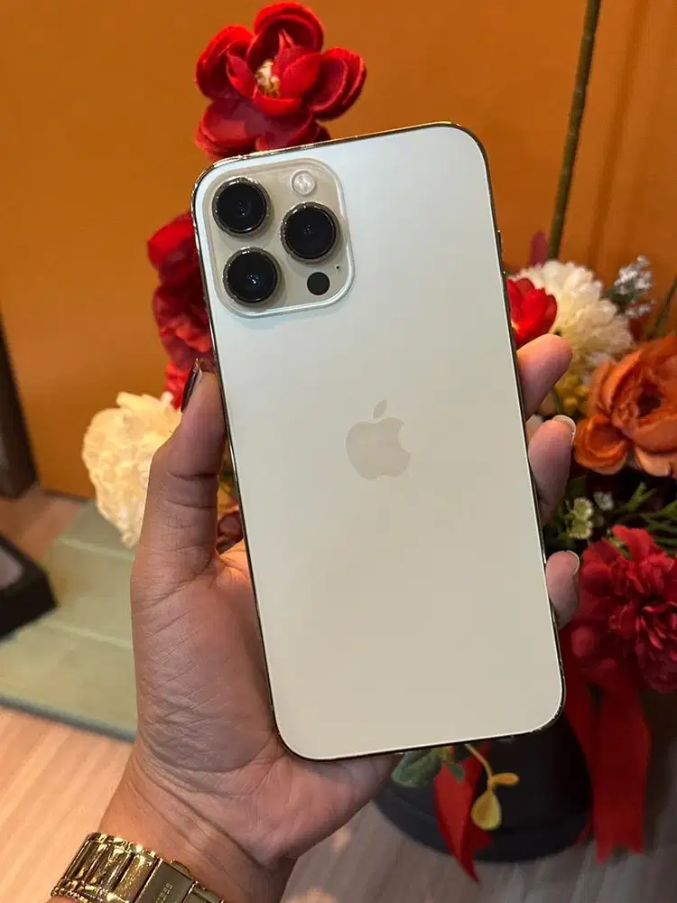 iphone 13 promax 128 beacukai