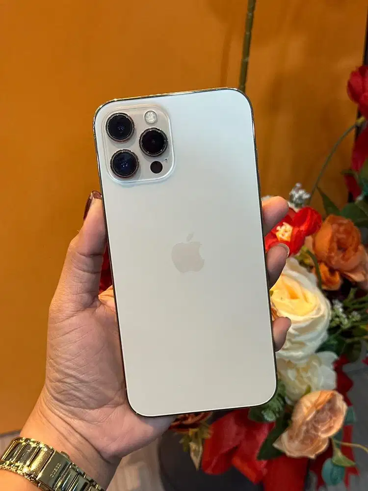 12 promax 256 beacukai