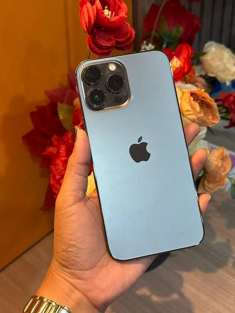 13 promax 256 ex ibox