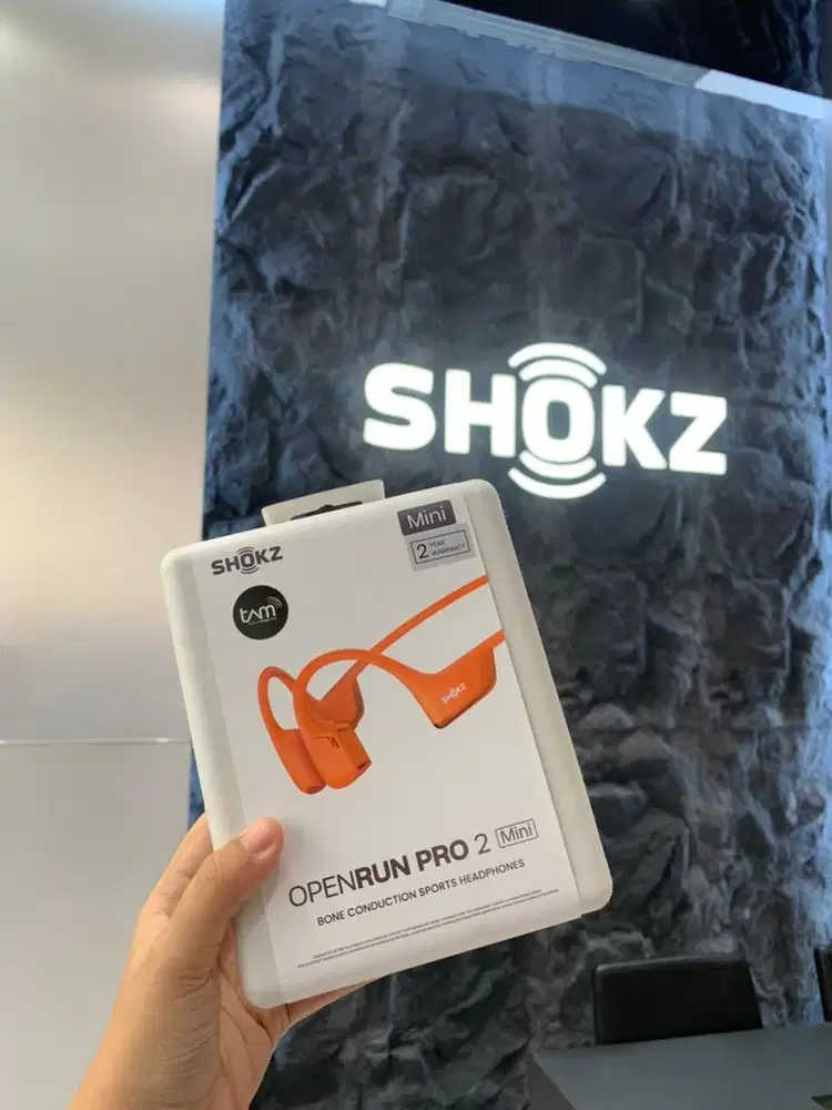 OpenRun Pro 2 Mini Official Store