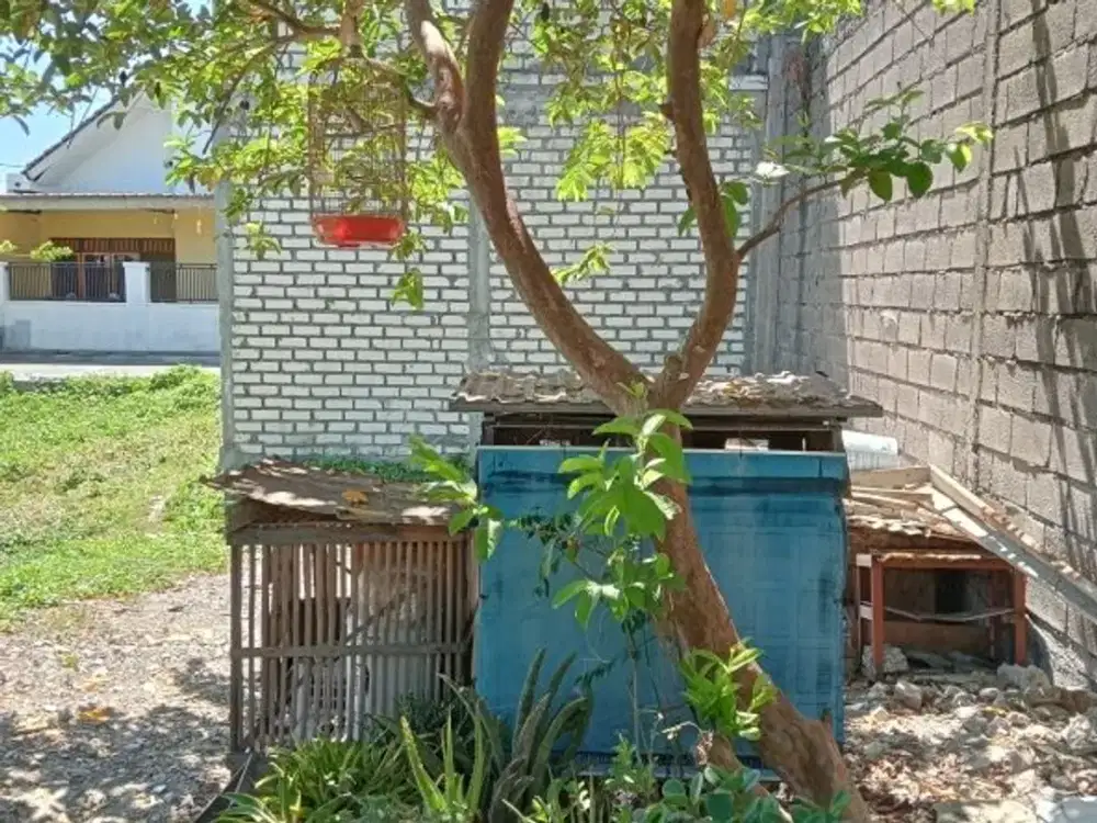 Dijual Tanah Wagir Baru Sidoarjo (Asri dan Strategis)