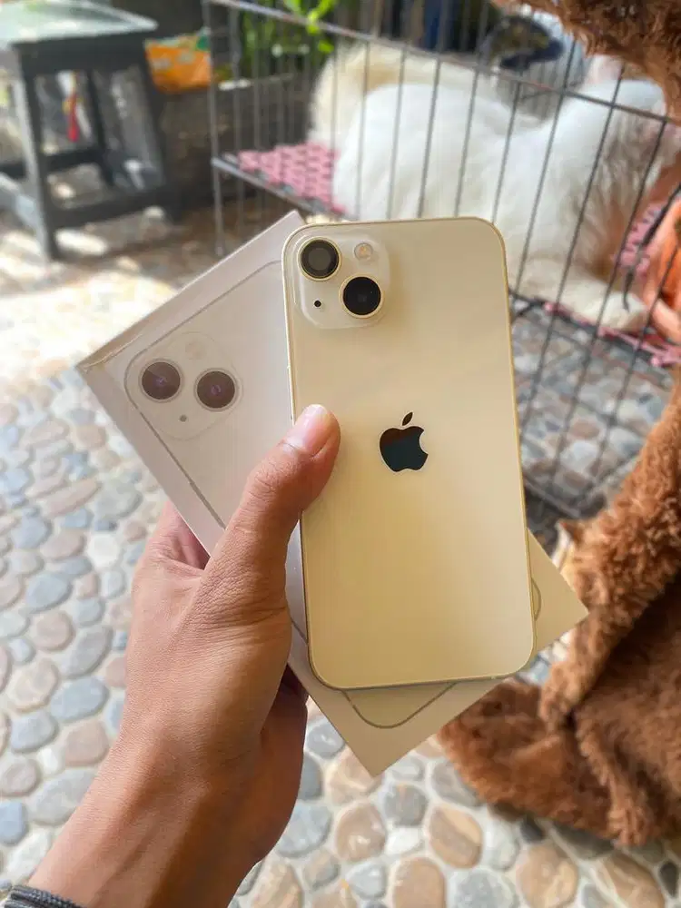 iphone 13 128 gb inter