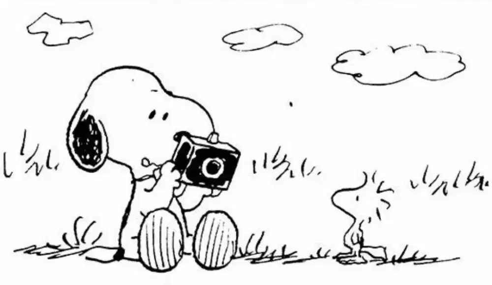 mencari lowongan pekerjaan