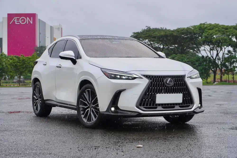 Lexus NX350h Hybrid Facelift Luxury A25A-FXS 2023 / 2024