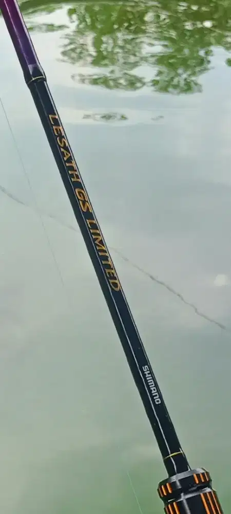 Joran Pancing Lesath gs Limited Custom