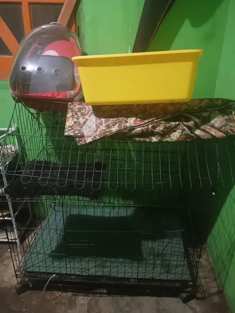 Jual kandang kucing dan tas
