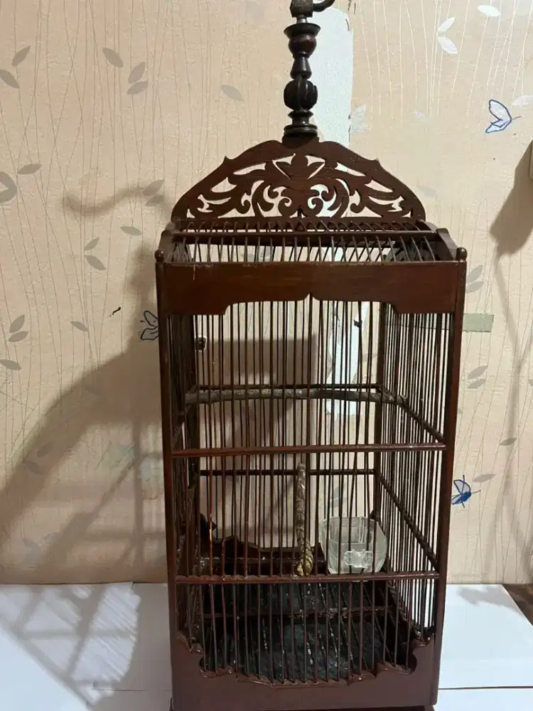 Sangkar jati uk 19 tinggi 27