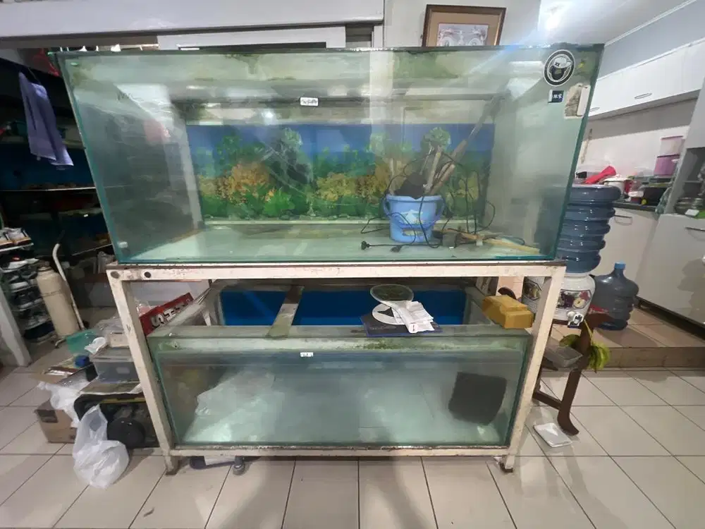 Aquarium 150 Cm