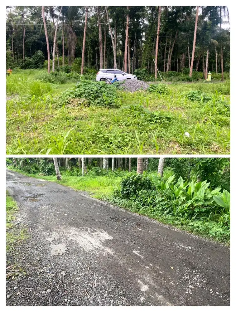 DIJUAL TANAH PEKARANGAN