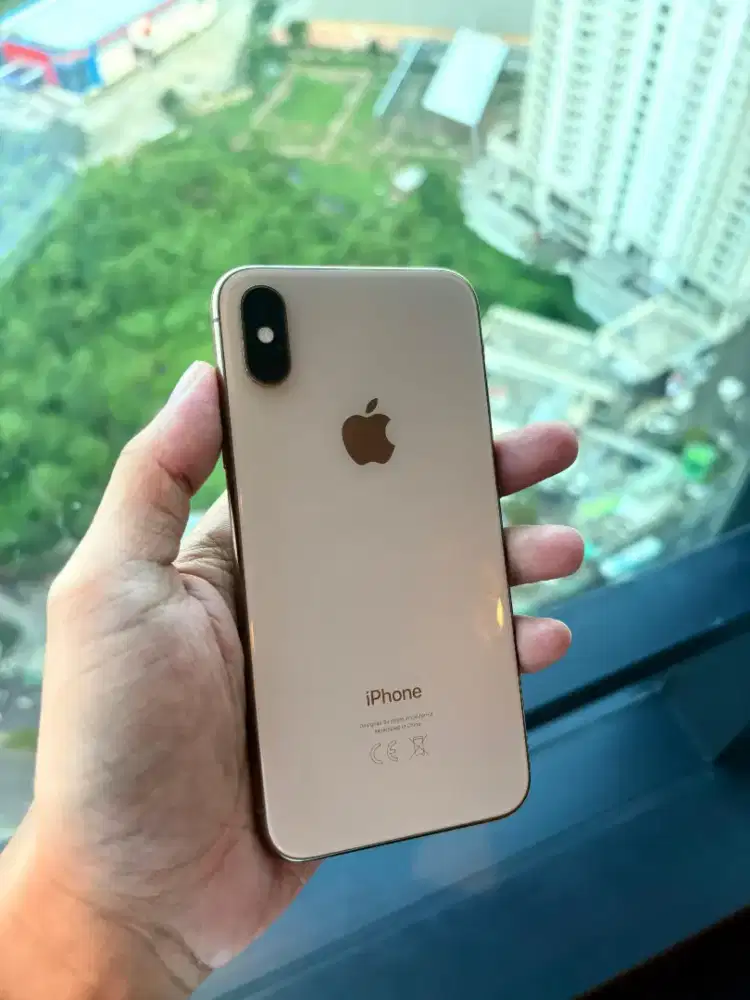 Iphone XS 4/64GB inter