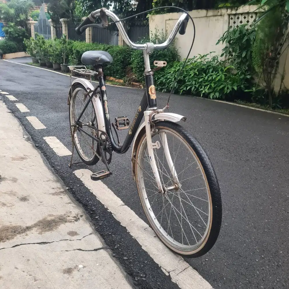 Speda mini phonex ori