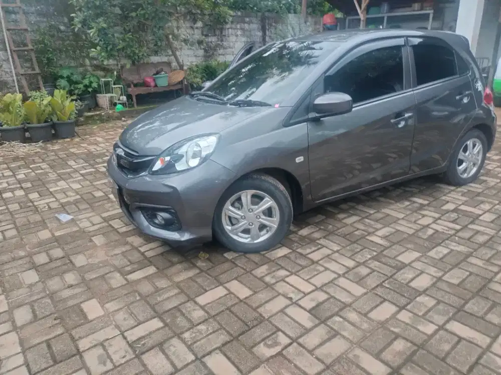 Brio e stya m/t 2018