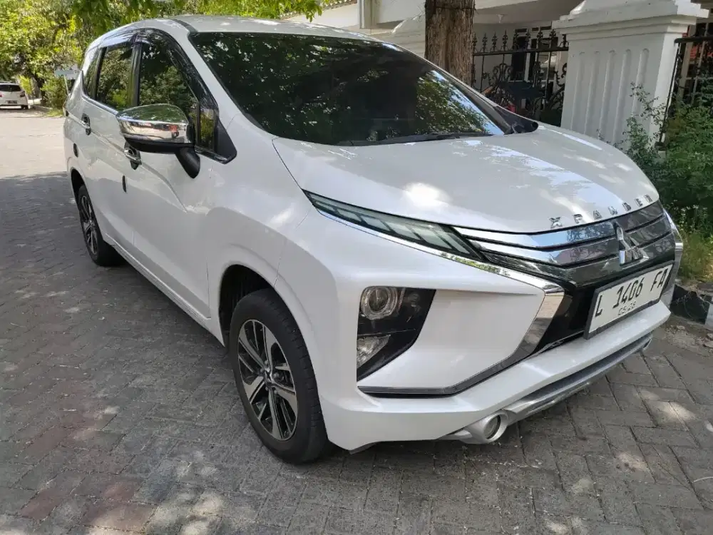 X-Pander Ultimate 2018/ist ors cat