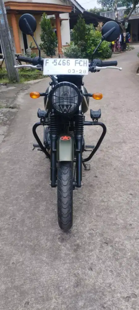 Kawasaki w 175 THN 2018