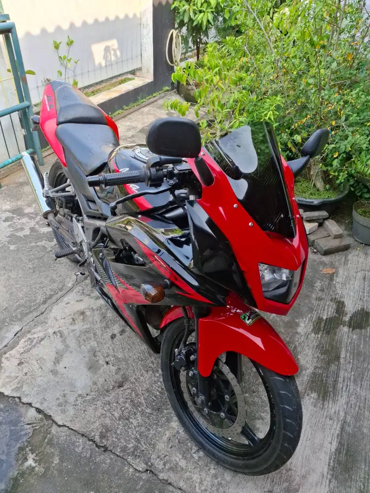 Ninja RR 2013 Std