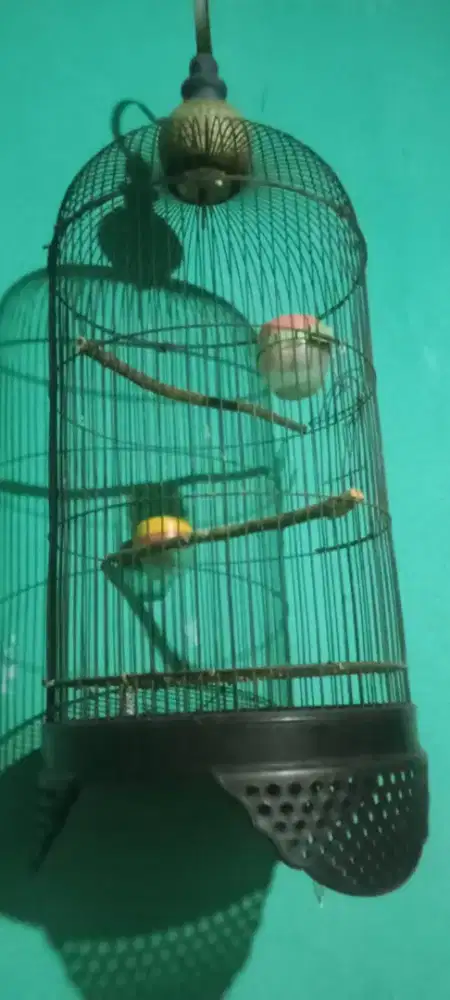 Jual kandang besi bekas