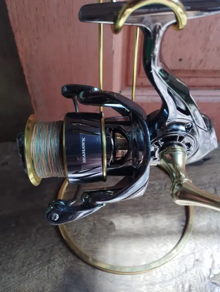 Rell pancing Seahawks