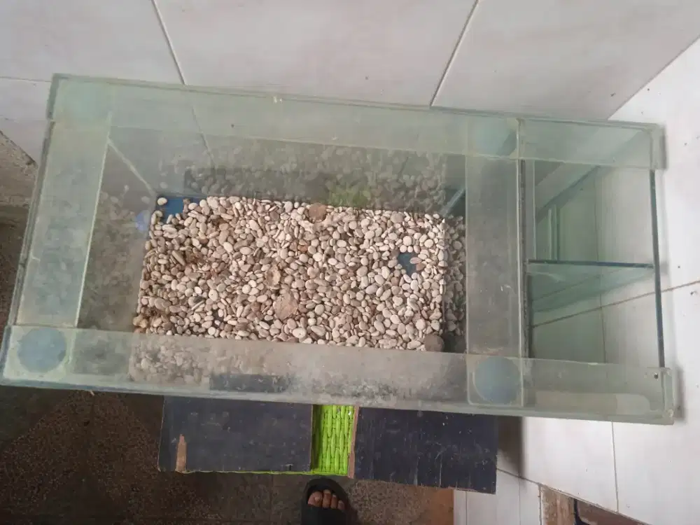 AQUARIUM Panjang 60 cm, Lebar 30 cm, Tinggi  35 cm