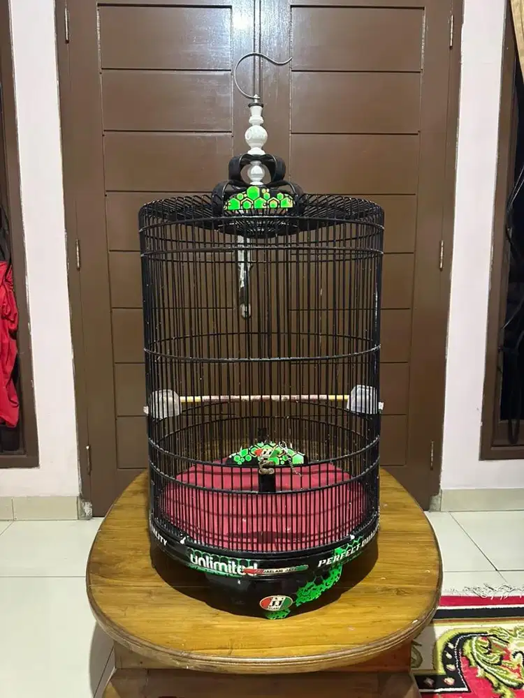 Kandang Burung Murai No.1 dan No.2