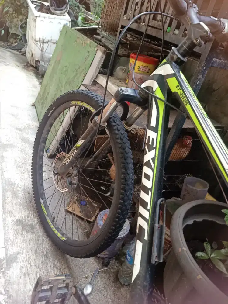 Sepeda gunung exotic