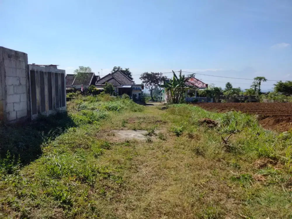 Tanah dau dijual