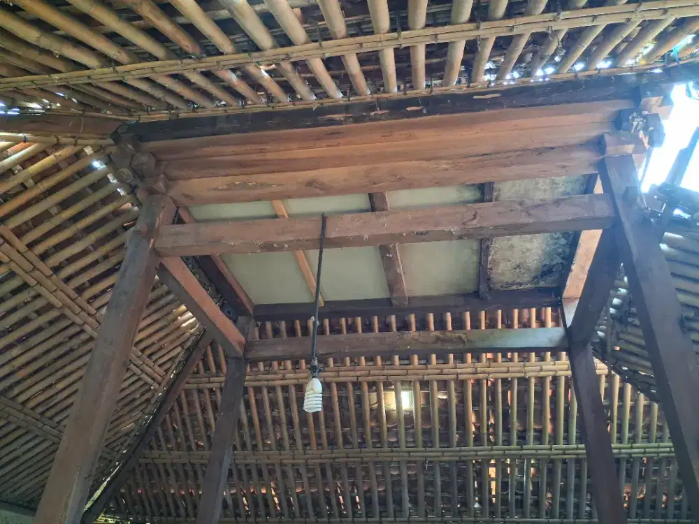 Bahan joglo soko nangka 13cm