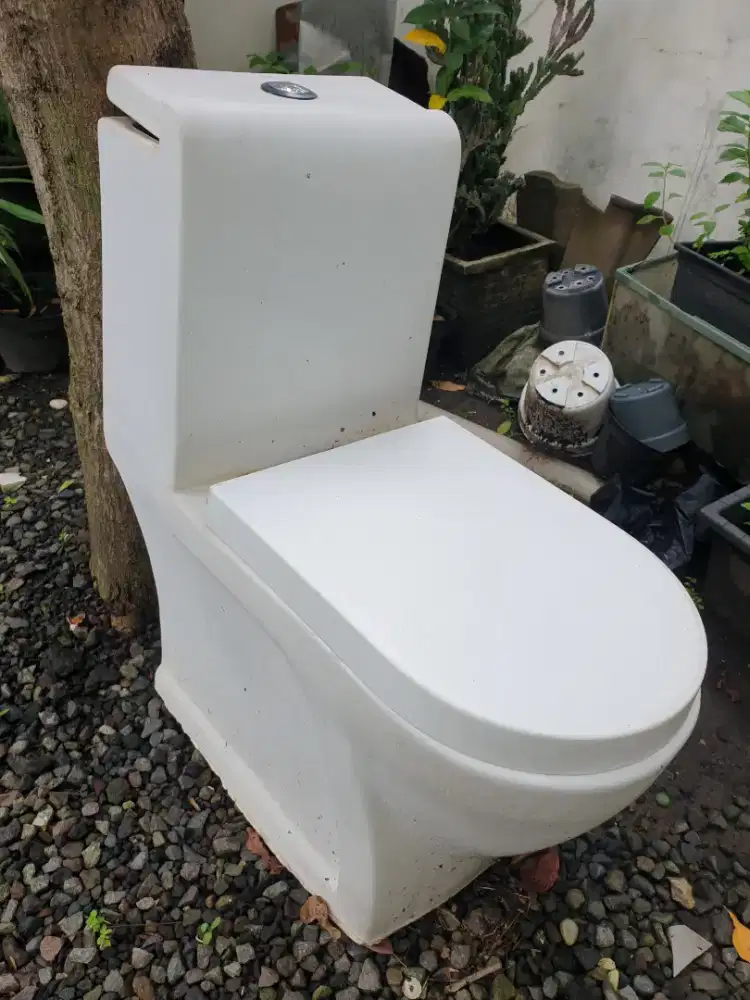 Monoblok toilet