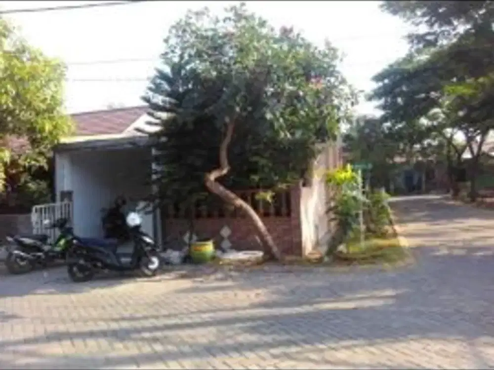 Rumah Murah Bangeet Perum Swan Menganti Mas Regency Menganti Gresik hadap selatan strategis